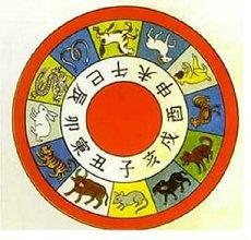 属相为龙的人找个什么属相的最合拍(属相牛年找个)
