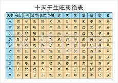 水瓶女会和怎样的人出嫁(水瓶摩羯座白羊座)
